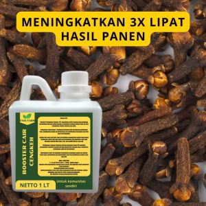 Pupuk Semprot Pelebat CENGKEH Pupuk Pelebat CENGKEH Pupuk Penyubur CENGKEH ZPT
