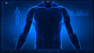 STEAM Big Bang Science Interactive Parts of the Human Body