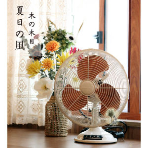 Simple Metal Desk Fan Low Noise Bedroom Living Room Home Use Tabletop Fan Wood Grain White Day Series Three Speeds Mechanical Control