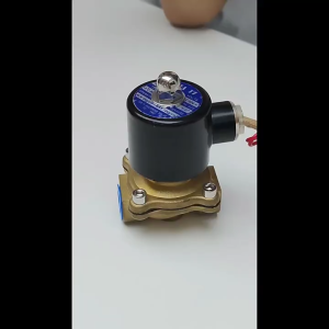 Hydraulic Solenoid Valve 220V Valve Solenoid Valve Water Air Steam Ratio Diaphragm Copper Coil Brass Solenoid Valve