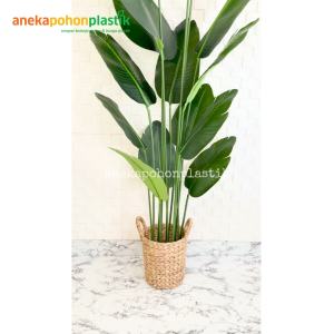 Pohon Artificial Pohon Pisang T180 Latex Pot Dasar Hitam Cover Eceng Gondok Handle Hiasan Sudut Ruangan Dekorasi Rumah Aesthetic