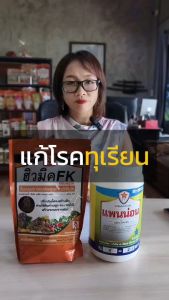 ทุเรียน ใบไหม้ ใบติด รากเน่า ผลเน่า โรคพืชต่างๆจากเชื้อรา กำจัดด้วยแพนน่อน และฮิวมิค FK