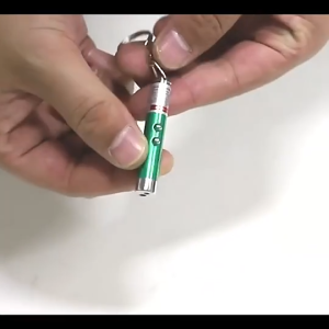 2-1 Led Light & Red Laser Pointer Pen Teaser Cat Interactive Hunting Exercise Funny Indoor Toy