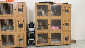 Solid Wood Cat Condo Three Layers Cat House Domestic Cat Cage Luxury Cat Villa All-season