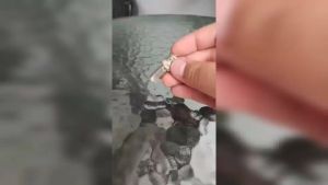 Glink หัว BNC เกลียวใน หกเหลี่ยม สำหรับต่อสาย RG6 กล้องวงจรปิด แพ็ค 100 ชิ้น รับสมัครดีลเลอร์ทั่วประเทศ