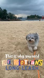 ✅[SG] MR. BIOTHANE LONG LEASH Waterproof 5 Metre & 10 Metre ★ Encourage Foraging Skills Training ★ FREE Recall Training e-Guide worth $7★ For Dog Cat