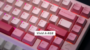 🇸🇬 WOBKEY RAINY75 75% Wireless Prebuilt Custom Mechanical Keyboard RGB Tri-Mode Connectivity