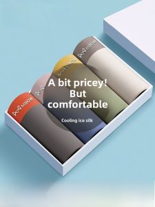 MiiOW | Mens Ice Silk Briefs Breathable Thin Antibacterial Youth Seamless Underwear Luxury Style Polyester Nylon Elastic Fiber Shorts