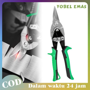 Gunting Seng 10 Inch Tipe Lurus Aviation Snip Gunting Seng Hollow Gunting Baja Ringan