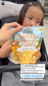 ALAMII HEALTHY BAKED PUFFS / KIDS HEALTHY SNACK / HALAL SNACK / LUNCH BOX SNACKS