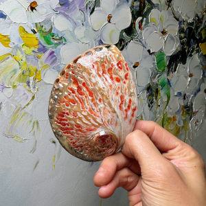 Natural Uncolored Large Red Flower Abalone Shell Seashell Specimen Authentic Shell Home Decor Creative Decoration