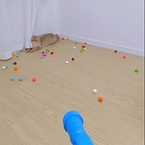 【SG】Cat Toy Plush Ball Launch 100pcs Self-Playing Silent Balls Interactive Boredom Relief Toy Plush Ball