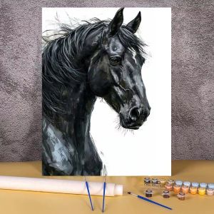 Bandai | Black Horse Oil Painting Kits Handpainted Picture By Number Drawing On Canvas Home Decoration Diy Paint By Numbers Wall Art