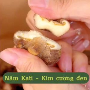 Nấm Kati Nấm Hương Giòn Rụm Sấy Theo Phương Pháp Hiện Đại Giữ Nguyên Hương Vị Nấm