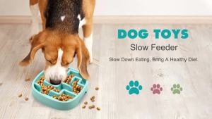 Pet Supplies Dog Cat Anti Choking Feeding Food Bowls Puppy Slow Down Eating Feeder Dish Prevent Obesity New Product Variety