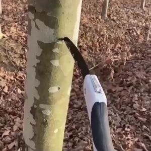 Gergaji lipat Super tajam portabel Pemotong Ranting pisau Pohon Scissor Saw Tool - SK-5