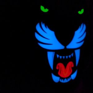 baju gambar harimaukaos harimau priakaos harimau menantibaju kaos harimaukaos harimau 3d