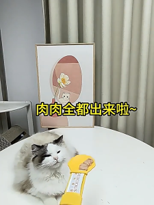 ช้อนขนมเลียแมว ช้อนเลียแมว ขนมแมว ไม่มือสกปรก เครื่องบีบเลียแมว (ส่งไทย) CW99