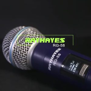 RAYHAYES Wireless Microphone Original Dual Handheld Rechargeable for Videoke Speaker karaoke performance