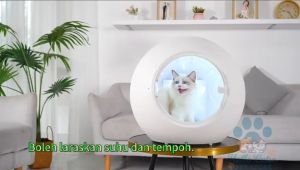 Pet Cat Grooming Dog Hair Dryer Machine Powerful Heating Blower Pet Cats Hair Dryer Box UV Disinfection+ Lighting