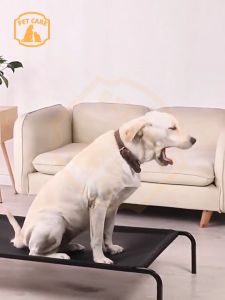 Bigger Size Dog Bed: A Comprehensive Guide