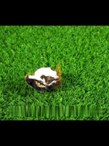 Artificial Grass 4m x 5m Pot Training Grass Lawn Garden Advanced Artificial Grass Mat 5-tone Realistic Soft Series