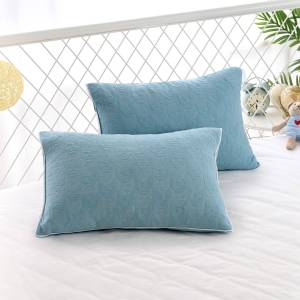 Kids All-Seasons Cartoon Pillowcase Single