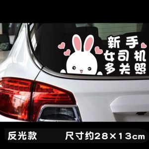 Internship Female Driver Stickers Car Stickers for Beginner Driver Creative Please Take Care of Funny Tips Internet Celebrity Large Domineering