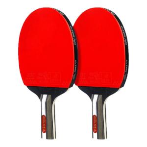 Double Fish | Beginner Friendly Premium Table Tennis Racket