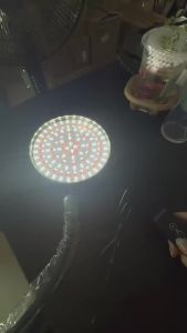 Plant Grow Light LED Full Spectrum Plant Growing Lamp for Home Office Indoor PlantsAdjustable Height & Auto Timer
