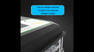 The Cheapest 56 Egg Incubator Automatic with Hatcher: A Comprehensive Guide