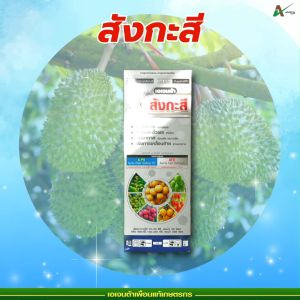 สังกะสี ปุ๋ยน้ำทางใบ แก้ปัญหาใบแก้ว ใบลาย ใบเหลือง ป้องกันต้นพืชแคระแกร็น ต้านหนาวจัด ทนร้อนจัด ขั้วเหนียว (1 ลิตร)