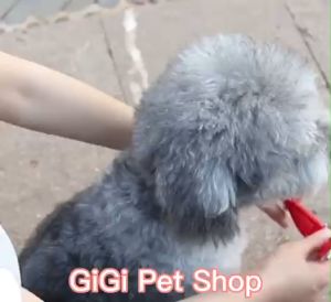 Vòng cổ hai lớp đệm da thông khí loại xịn có thể điều chỉnh kích thước cho thú cưng chó mèo - GiGi Pet Shop