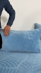 Buy 1 Get 1 Free Coral Velvet Pillowcase Velvet Washed Cotton 2PCS Soft Thicken Protector Pillow case 20X30 Inches