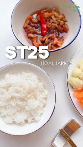 Gạo ST25 Hoa Lúa túi 5kg - Dẻo nhiều mềm cơm thơm đặc trưng