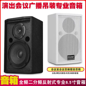 Conference Audio 6.5-Inch Conference Speaker Lifting Floor Speaker White Multimedia Public Broadcasting Wooden Speaker