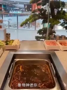 SG Desktop Range Hood Portable Mobile Barbecue Hot Pot Barbecue e Exhaust Fan Small Size For Household Desktop Range Hood