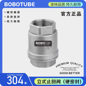 304 Stainless Steel Spring-loaded Check Valve