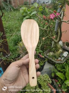 Entong kayu mahoni