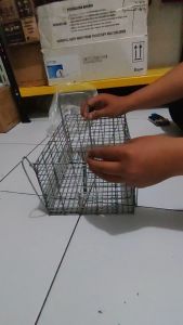 Promo Jebakan Perangkap Tikus Besar Besi Tebal Dan Kuat