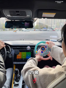 Passenger Seat Steering Wheel Toy Exclusive Gift for Girlfriend Cute Simulation Driving Experience Car Travel Nausea Relief