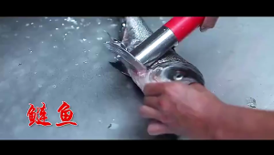 Electric Fish Scaler Cordless Fish Scaler Remover Powerful Fish Cleaning tools Built-in Rechargeable Battery Easily Remove fishscales