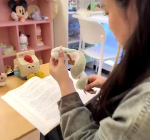 ตุ๊กตา งูยัดตุ๊กตา ของเล่นตุ๊กตา ตุ๊กตางูน้อย 40 ซม. ตุ๊กตางูดัดได้ตามใจ ตัวการ์ตูนน่ารัก ของขวัญวันเกิดสำหรับเด็ก