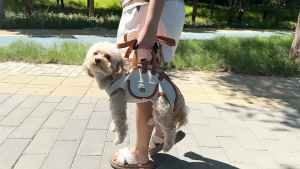 Portable Adjustable Crossbody Pet Carrier Bag for Small Dogs Cats Outdoor Travel Breathable Shoulder