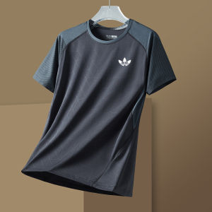 Ice Silk Quick Dry Sports Set Men Summer round Neck T Shirt Shorts Loose Casual Set Hanfu Ethnic Clothing Quick Dry Leisure Outfit