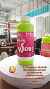 แมมมอท ฟองดู สาหร่ายสีเขียวเข้มข้น+อะมิโนธาตุอาหารเสริมพืช ส่งเสริมการแตกตาดอก  (ฟื้นต้นหลังเก็บเกี่ยว สร้างดอก เปิดตาดอก) เทพวัฒนา ตราปลาคู่