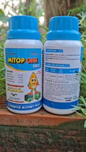 [VTNN TIEN KHOA] Trừ lem lép hạt lúa nếp làm sáng hạt sạch nấm bệnh MITOP ONE chai 240ml