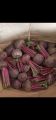 beet root fresh / buah bit merah segar 1 kilo. 