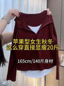 plus Size Hooded Long Sleeve T-Shirt Womens Autumn Winter Slimming Base Shirt Korean Style Commute Fashion Regular Fit