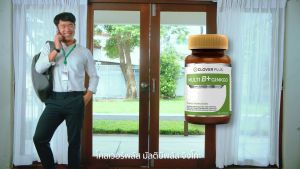 Clover Plus Multi B+ Ginkgo อาหารเสริม อาหารสกัดจากใบแปะก๊วย 1ขวด/30แคปซูล วิตามินบีรวม สำหรับการลดน้ำหนัก เพิ่มประสิทธิภาพของใบหน้า